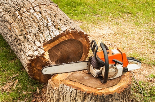tree cutting removal services